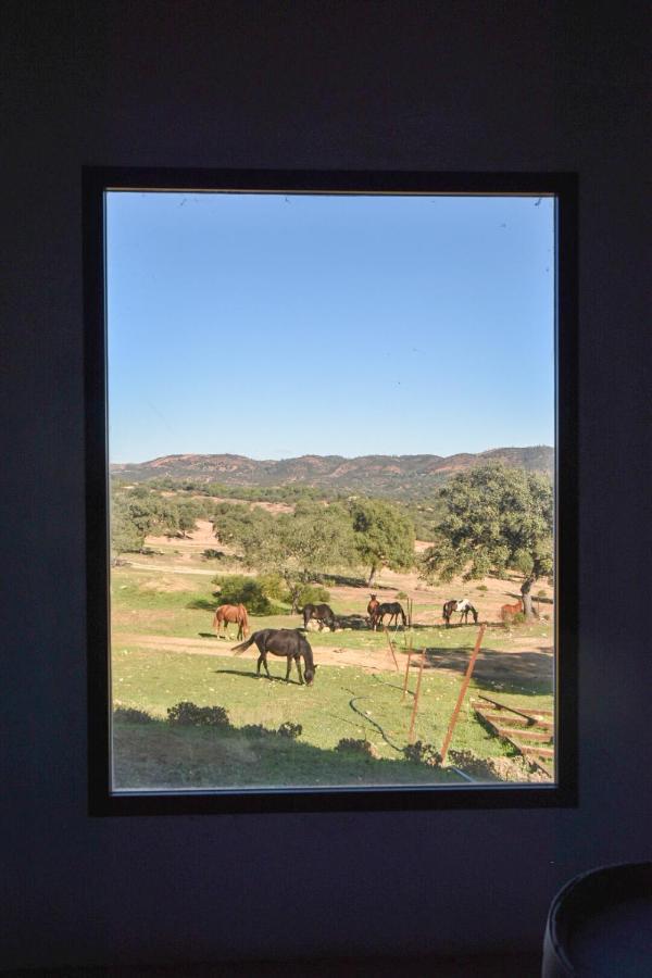 Finca Santa Maria De Las Canadas El Garrobo Buitenkant foto