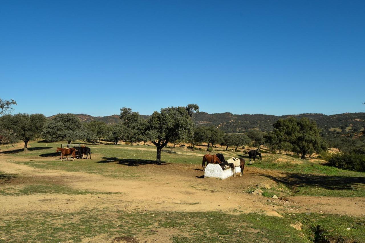 Finca Santa Maria De Las Canadas El Garrobo Buitenkant foto